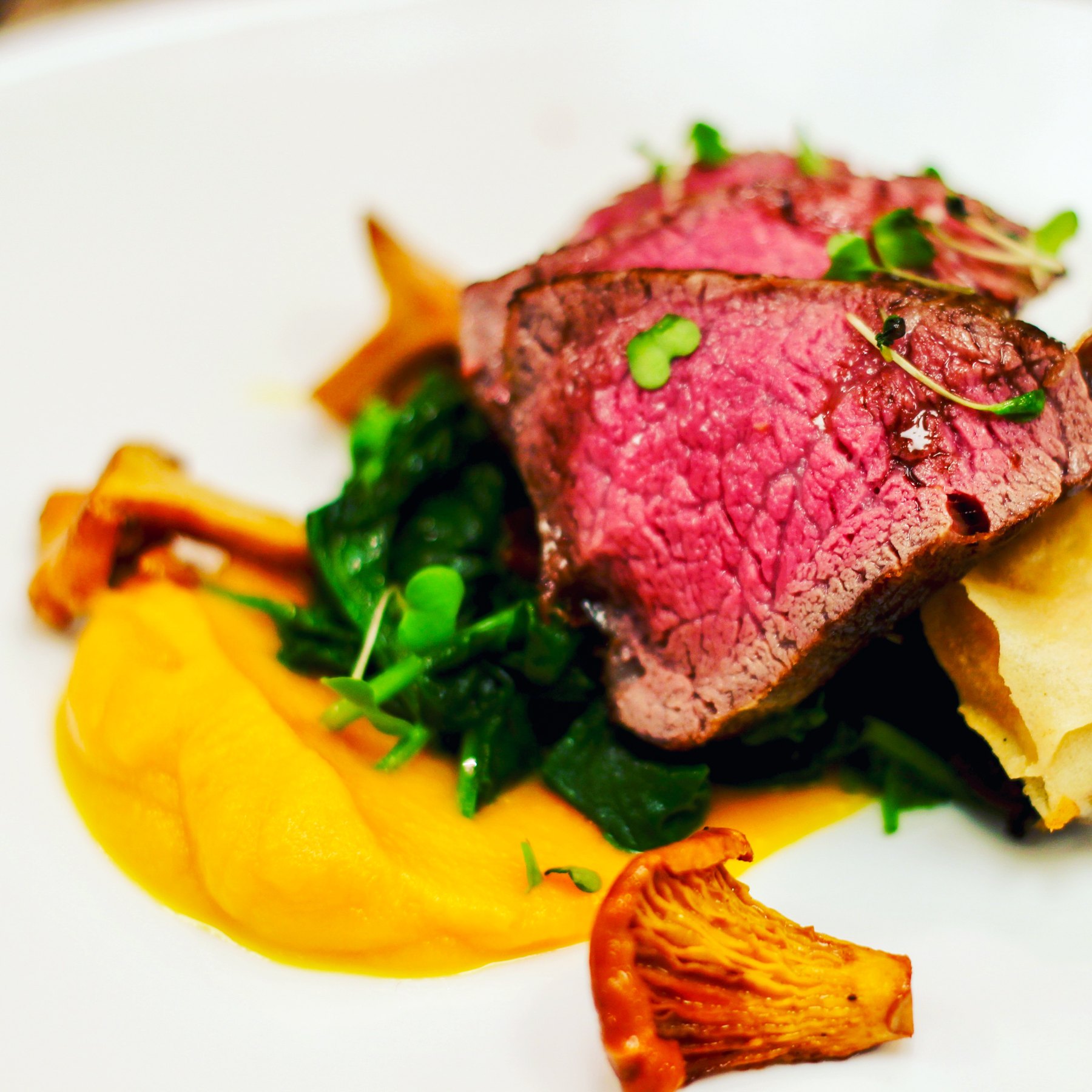 Seared beef with chanterelles and squash purée